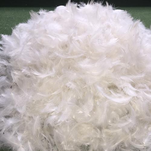 匈牙利進口白鵝絨海關(guān)檢查流程詳解