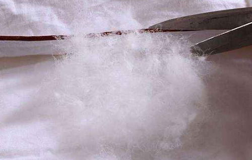 羽絨服是鴨絨的好還是鵝絨的好