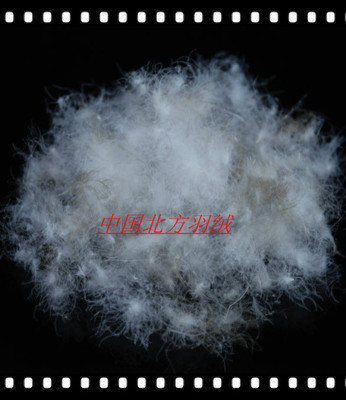 【鴨毛 羽絨供應(yīng)遼寧的好羽絨 羽絨】價格,廠家,圖片,羽毛、羽絨,安新縣大張莊北方羽絨制品銷售部-