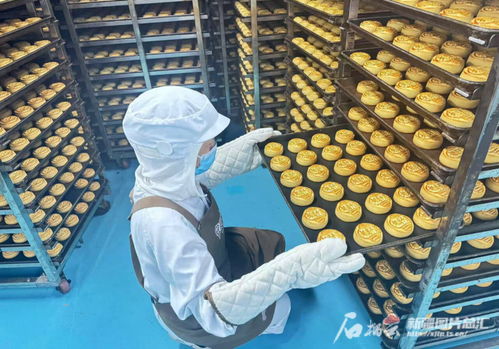 中秋佳節(jié)將至，烏魯木齊食品與羽絨制品企業(yè)雙線并進迎忙季